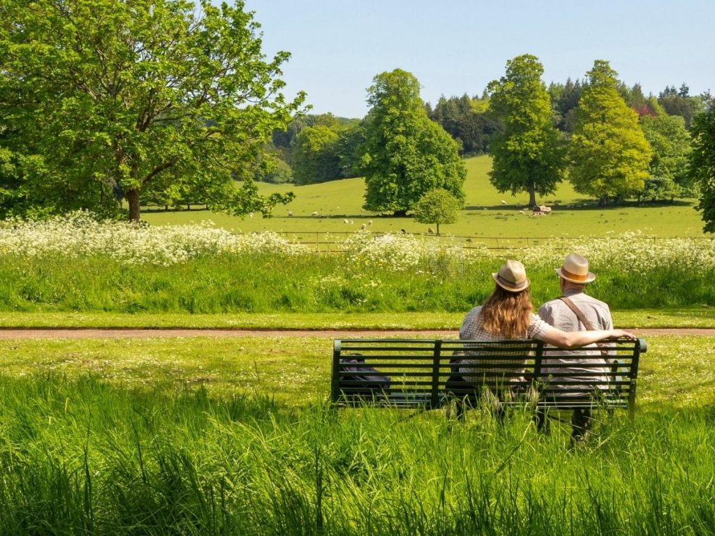 A couple sitting together on a bench in a green meadow surrounded by trees, enjoying a peaceful moment under a clear blue sky—symbolizing emotional connection and healing through couples therapy.